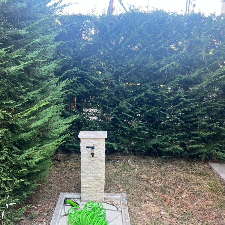 780