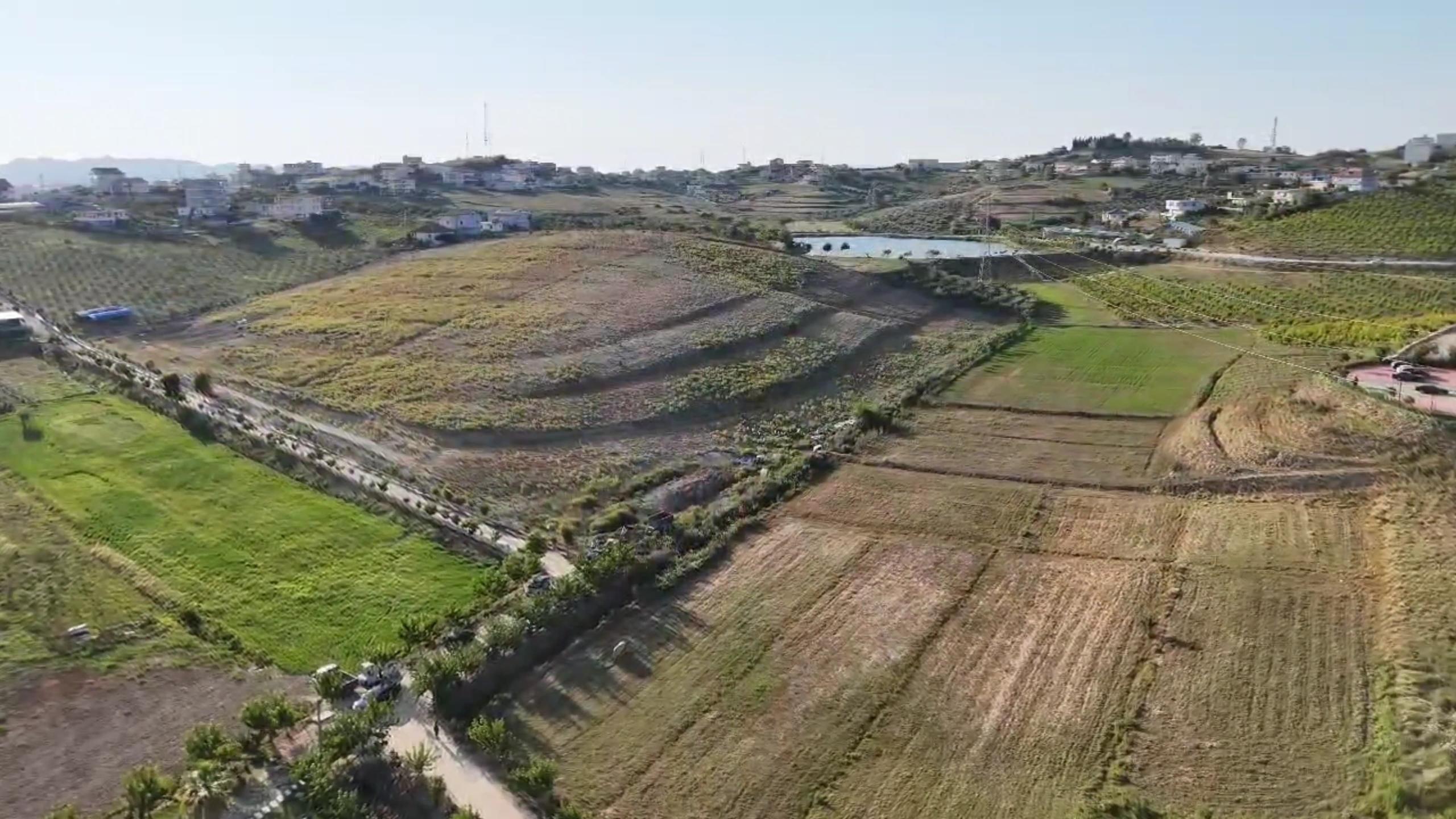 WhatsApp Image 2025-08-07 at 12.29.43 (1)