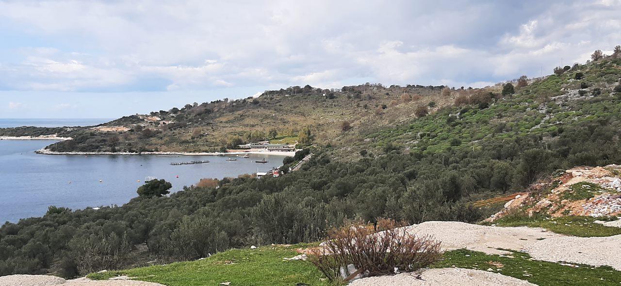 bb2795e9-0dbd-4d90-b9de-8501ff883204